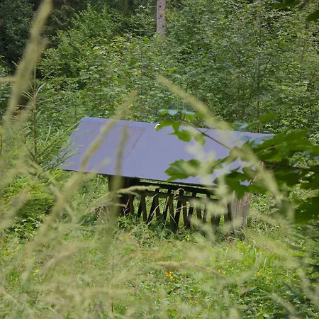 Hotel Gasthof-hotel Zur Linde 3*