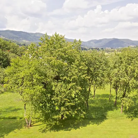 Gasthof-hotel Zur Linde Hotel