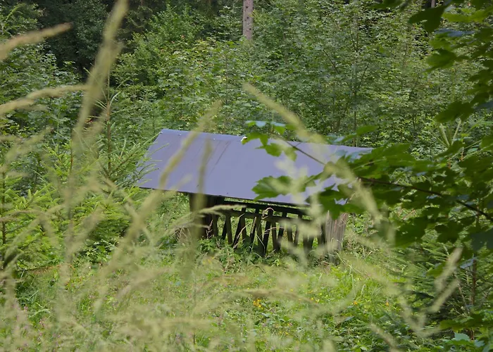 Otel Gasthof-hotel Zur Linde 3*