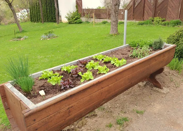 Gasthof-hotel Zur Linde Otel