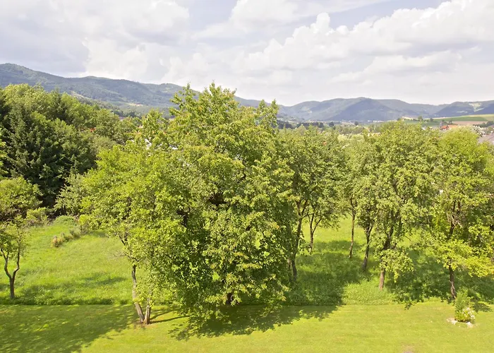 Gasthof-hotel Zur Linde Otel