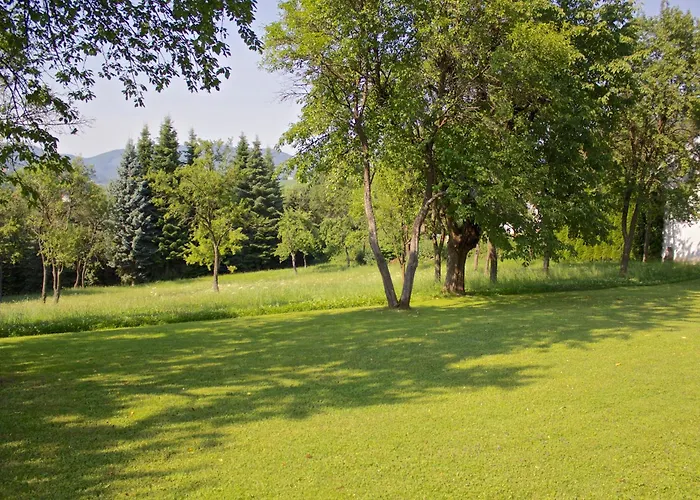 Gasthof-hotel Zur Linde Otel 3*